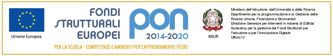 Logo PON FESR